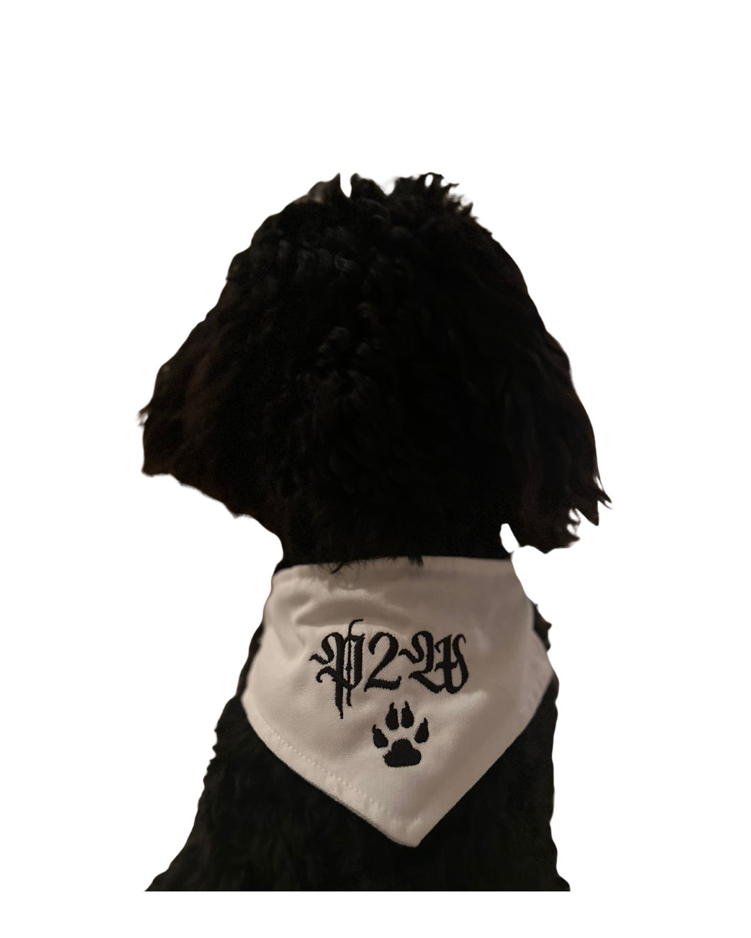 White Dog Bandana